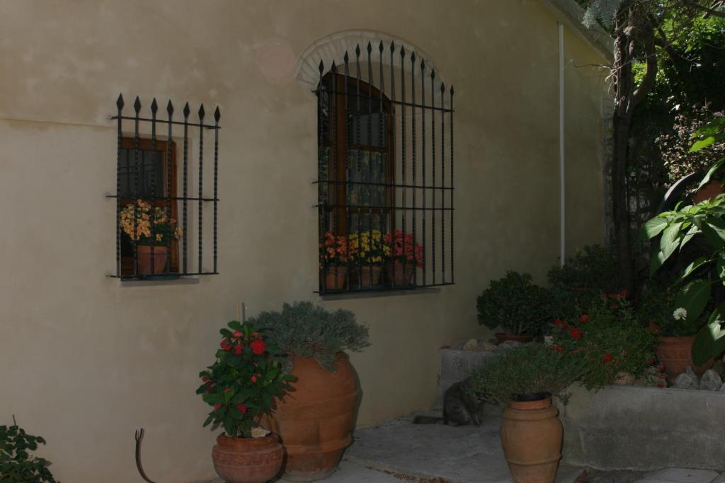 Agriturismo Il Colto San Gimignano Exterior foto